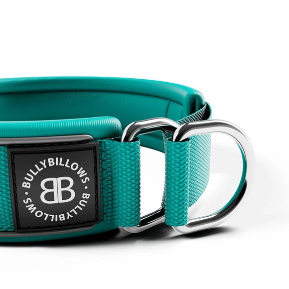 NWT Bully Billows 4cm Slip on Collar | Foam Padded - Turquoise Large OBO - Picture 6 of 10